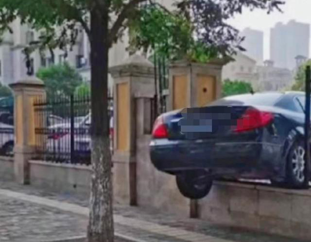 �����o��