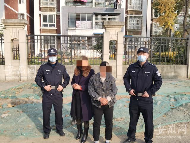 護欄網價格 護欄網價格