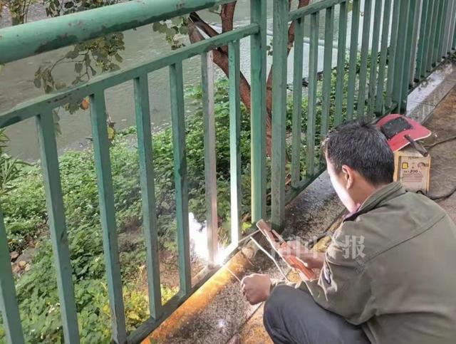 護欄網(wǎng)價格 護欄網(wǎng)價格