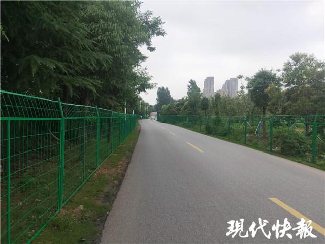 護欄網價格 護欄網價格