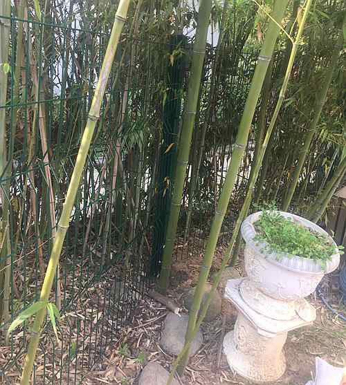 南京護欄網 南京護欄網