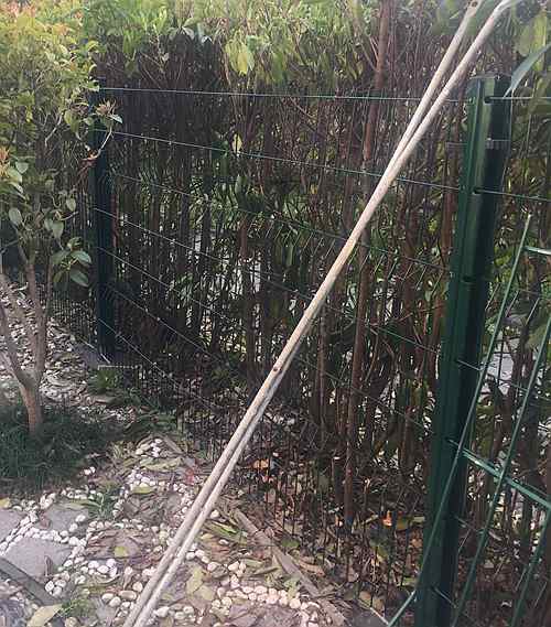 桃形柱護欄網價格 桃形柱護欄網價格