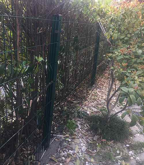 桃形柱護欄網 桃形柱護欄網